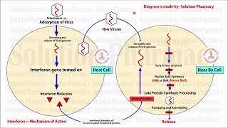 Topic 46 Antiviral Drugs  Interferon  Mechanism of Action  Interferon In Viral Infection [upl. by Crawford654]