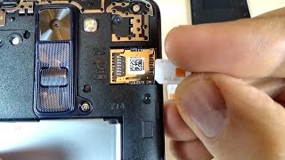 LG K8  How to Insert SIM Card and Memory Card [upl. by Nuawtna658]