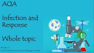 The whole of INFECTION AND RESPONSE AQA 91 GCSE Biology or combined science for paper 1 [upl. by Larina]