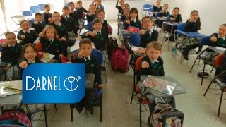 DARNEL  Los desechables sí son reciclables  quotSomos Útilesquot [upl. by Adnilema667]