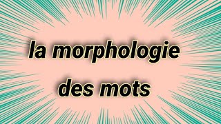 la morphologie des mots [upl. by Helmut]