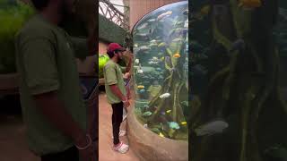 VGP MARINE KINGDOM 🐠  Minivlog 126  mhamaldas vlog minivlog marinekingdom shorts [upl. by Lednew]