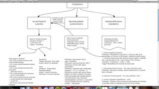 Myeloid and Lymphoid neoplasms web Computer [upl. by Wanids864]