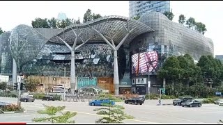 Travel ION  Orchard Road 🇸🇬 [upl. by Olia]