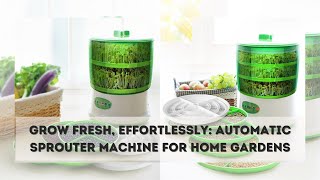 Automatic Sprouter Machine  Intelligent Automatic Bean Sprouts Maker [upl. by Ahseken]