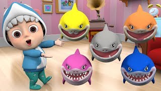 Baby Shark 🦈 Baby shark family Kids song amp nursery rhymes baby song baby shark song dance [upl. by Yecac]