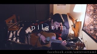 Pilgrim  Fink Cover [upl. by Turro]