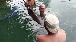 250lb Mekong Catfish at Gillhams Fishing Resorts Krabi Thailand [upl. by Eirahcaz]