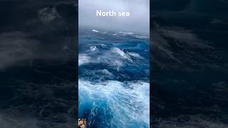 North sea ⛵ youtubeshorts vairalvideo foryou northsea shorts [upl. by Nwadrebma]