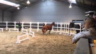 Gotcha Bernini x Concorde Freejumping selection Mechelen [upl. by Kelwin437]