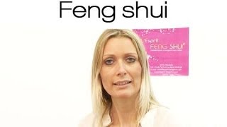 Feng shui  se méfier du Tai Sui [upl. by Lenahtan101]