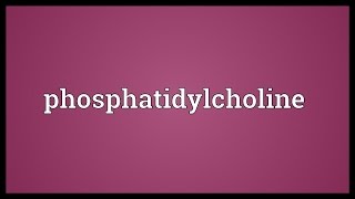 Phosphatidylcholine Meaning [upl. by Ava963]