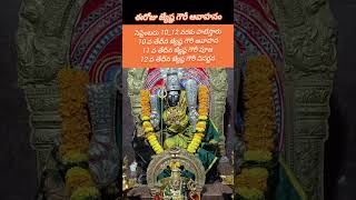 శ్రీ జ్యేష్ఠ గౌరీ ఆవాహనం 🙏 srijhystagowriaavahanam status shorts [upl. by Ramirolg]