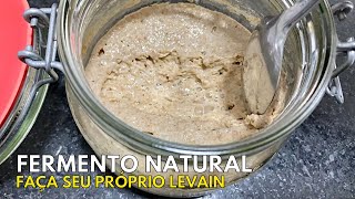 COMO FAZER FERMENTO NATURAL FAÇA SEU PRÓPRIO LEVAIN E USE EM RECEITAS DE PÃO CASEIRO horadogrude [upl. by Iatnahs]