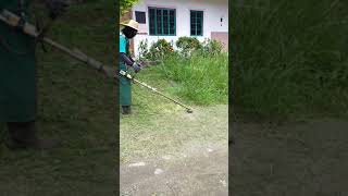 CUTTING THE TALL GRASSOVERGROWN GRASSGRASS CUTTING USING BRUSH CUTTERGRASS CUTTER [upl. by Nerraj11]