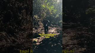 Air terjun templer park  Part 1 hikking waterfall hiking travel [upl. by Nosinned]