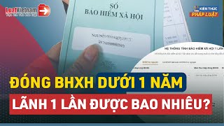 Tính Nhanh Đóng BHXH Dưới 1 Năm Lãnh 1 Lần Được Bao Nhiêu  LuatVietnam [upl. by Norine961]