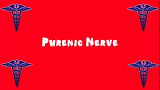 Pronounce Medical Words ― Phrenic Nerve [upl. by Ettenotna633]