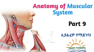 Anatomy of Muscular System Neck Muscles Interesting Video Lecture with Amharic Speech Part 9 [upl. by Anglim]