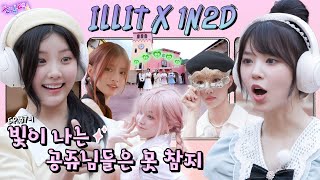 SUB EP371 ILLIT  어서 오세요 체리쉬 공주님들💝 이곳은 이탈리아입니다 절대 끝까지 지켜 회식비💸  돌박이일 아일릿의 휴일 1탄 4K [upl. by Nek939]