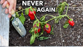 Here’s Why You Should NEVER Plant Peppers in Your Garden [upl. by Nocaj]