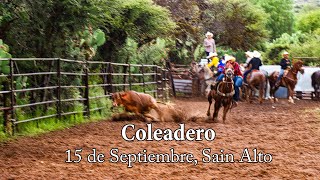 Coleadero 15 De Septiembre Sain Alto Zacatecas [upl. by Ahseinar594]