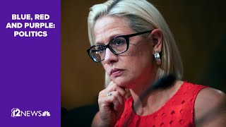 Arizona Sen Sinema wont seek reelection [upl. by Frants]