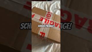 draft 😭 schleich horses horse schleichhorses unboxing models modelhorses [upl. by Ahcmis]