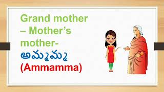 Learn telugu through english Part 1 family  Members of the family in telugu తెలుగు నేర్చుకుందాం [upl. by Audre131]