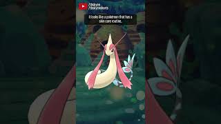 Feebas is catastrophically ugly Good  pokemon review [upl. by Yordan839]