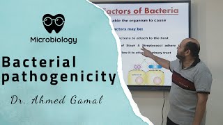 microbiology  Bacterial pathogenicity  DrAhmed gamal  BSNU [upl. by Ciredor]