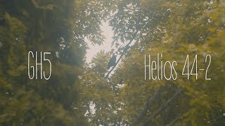 GH5 Vintage  Helios 442 58mm  Metabones Speedbooster [upl. by Gabriell531]