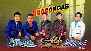 Juventud Mixteco Ft Organo Sensacion Oaxaqueña  Aldo y su Estilo InconfundibleMix De Charangas ♥️ [upl. by Berke]