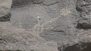 Petroglyphs Monument rule enforcement to increase [upl. by Anthony]