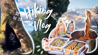 unimelb students touch grass  hiking vlog  dandenong ranges 🌻 [upl. by Poyssick]