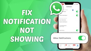 How to Fix Notifications Not Showing on WhatsApp [upl. by Fianna288]