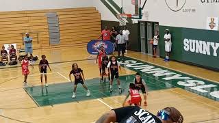 AZ Phenoms vs Team TyTy 4th grade basketball 7624 [upl. by Kalvin883]