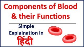 The Components of Blood and Their Functions  Bhushan Science [upl. by Evyn]