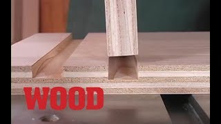 How To Make PerfectFitting Tablesaw Dadoes  WOOD magazine [upl. by Haimirej813]