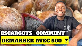 Escargots  comment démarrer avec 500 [upl. by Taylor]