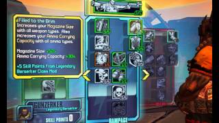 Borderlands 2 Gunzerker level 50 Build  Solo Terramorphous gameplay [upl. by Heise]