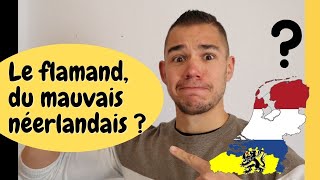 Le flamand du mauvais néerlandais  Questce que le FLAMAND  Apprendre le flamand comment [upl. by Yerffoej]