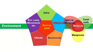 Wetlands Summary at Vamsi speed [upl. by Xena]