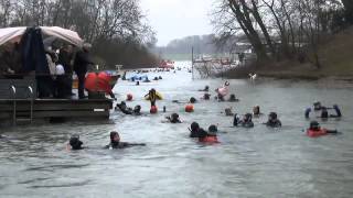 Neujahrsschwimmen Düsseldorf [upl. by Hambley]