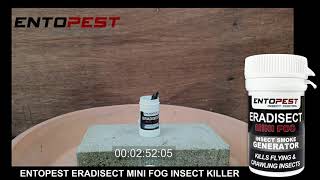 Entopest Mini Fog Insect Killer  Example Test Treatment [upl. by Nitsirk365]