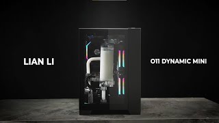 LIAN LI  O11 DYNAMIC MINI Official Video [upl. by Minsk278]