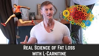 LCarnitine  How to Mobilize Fat amp Enhance Brain Health  Thomas DeLauer [upl. by Dranyl]