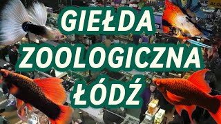 GIEŁDA ZOOLOGICZNA ŁÓDŹ 20232024 RELACJA [upl. by Lamhaj]