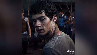 stiles and thomas the maze runner teen wolf tik tok [upl. by Edlin]