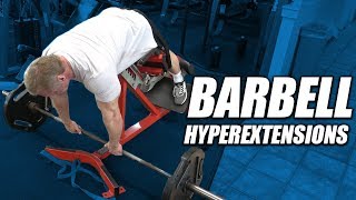 Exercise Index  Barbell Hyperextensions [upl. by Sullecram]